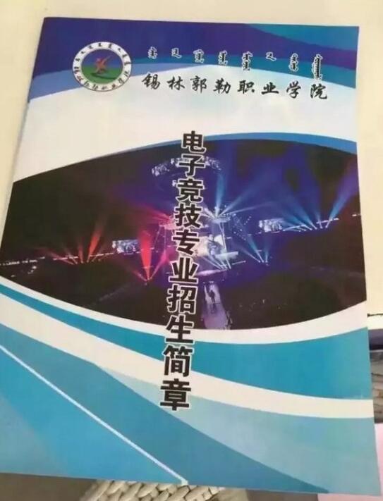 2025年澳门天天有好彩，澳门天天有好彩，展望未来的繁荣与活力（2025年展望）