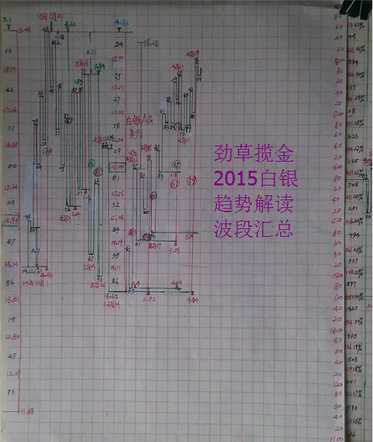 二四六香港资料期期中准，二四六香港资料期期中准，深度解析与预测