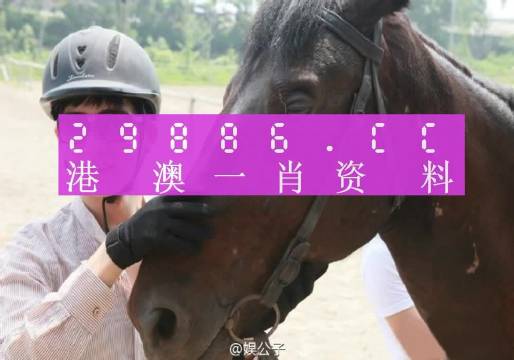 澳门今晚必中一肖一码准确9995，澳门今晚必中一肖一码准确9995——警惕背后的违法犯罪风险