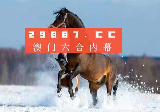 澳门一肖一码一必中一肖苏州，澳门一肖一码一必中一肖苏州，探索与解读