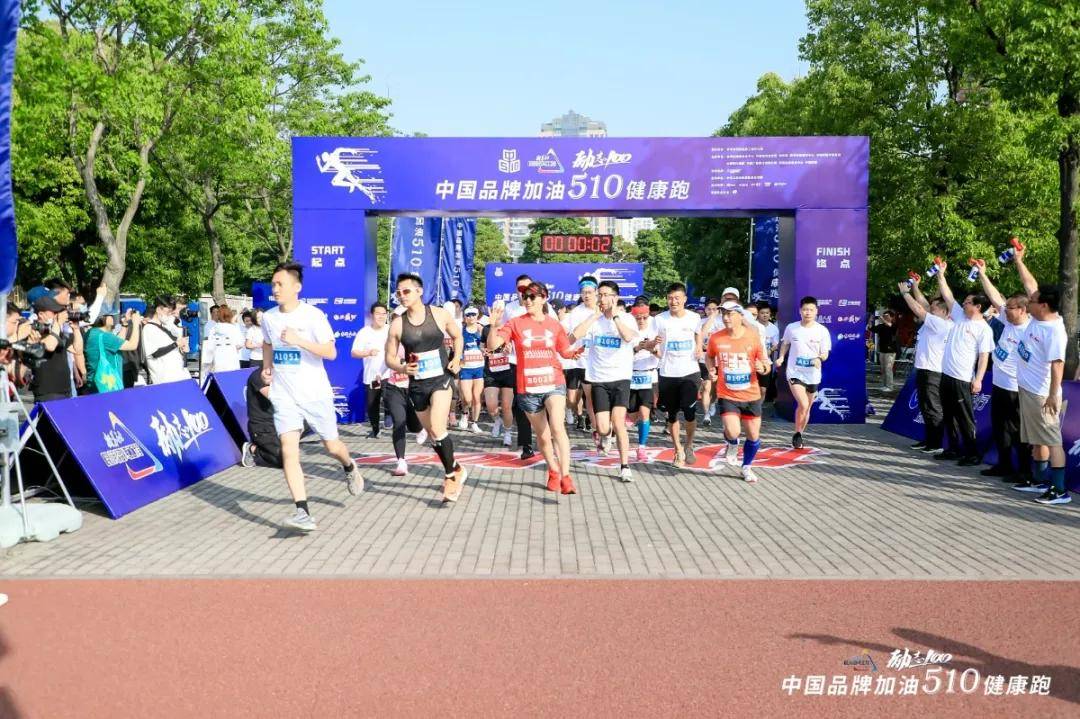 新奥精准资料免费大仝，新奥精准资料免费大仝，探索、分享与价值的汇聚