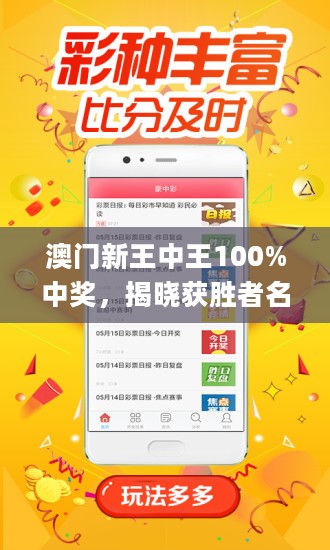 新澳门王中王王中王免费，新澳门王中王王中王免费，探索与解析