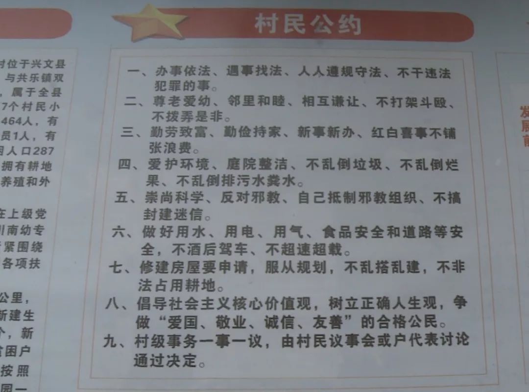 最准一肖100%准确精准的含义，揭秘最准一肖，探寻百分之百准确精准之含义
