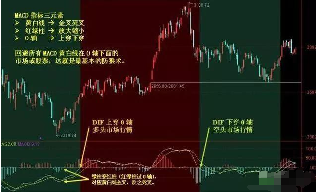 澳门平特一肖100准，澳门平特一肖100准，揭秘预测背后的秘密