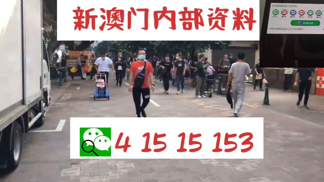 澳门内部中一码资料，澳门内部中一码资料解析