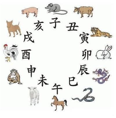 2025澳家婆一肖一特，探索未来，聚焦澳家婆与生肖特质的独特魅力（2025展望）