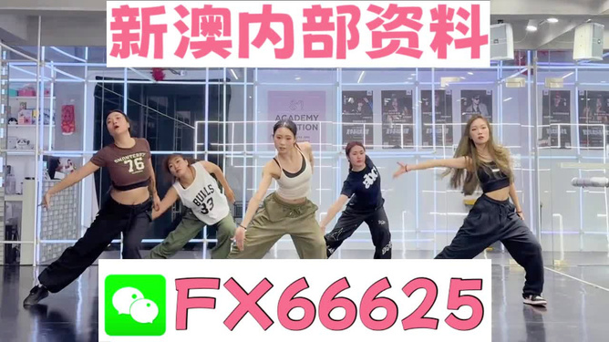 王中王一肖一特一中一澳，王中王一肖一特一中一澳，探索与洞察