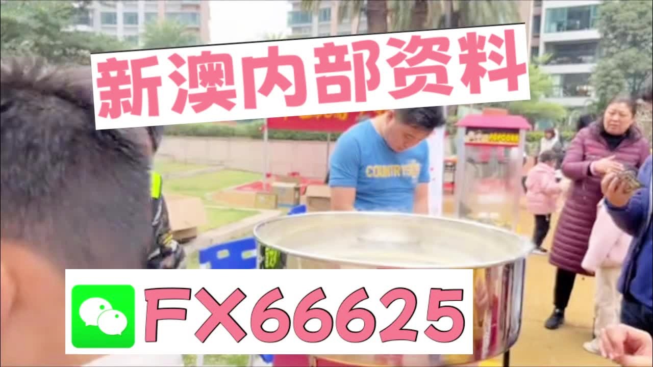 新澳2025最新资料大全，新澳2025最新资料大全概览