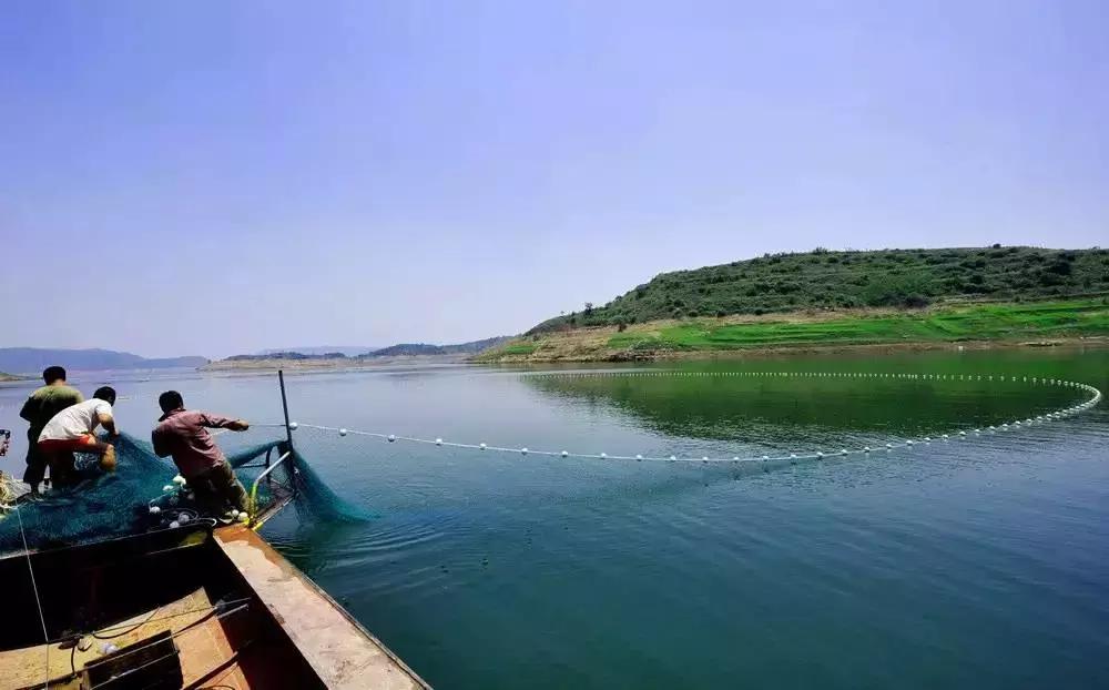 天下天空彩免费资料大全百度，天下天空彩免费资料大全百度，探索与启示