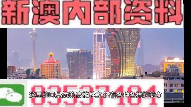 新澳门精准资料大全免费查询，新澳门精准资料大全免费查询，探索与解析
