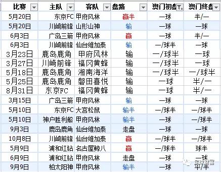 新澳内部资料精准一码波色表，新澳内部资料精准一码波色表详解