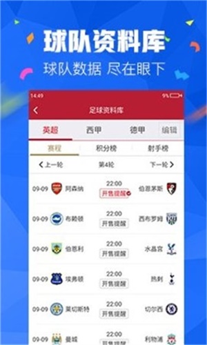 王中王免费资料大全料大全一精准，王中王免费资料大全料大全一精准，深度解析与实用指南